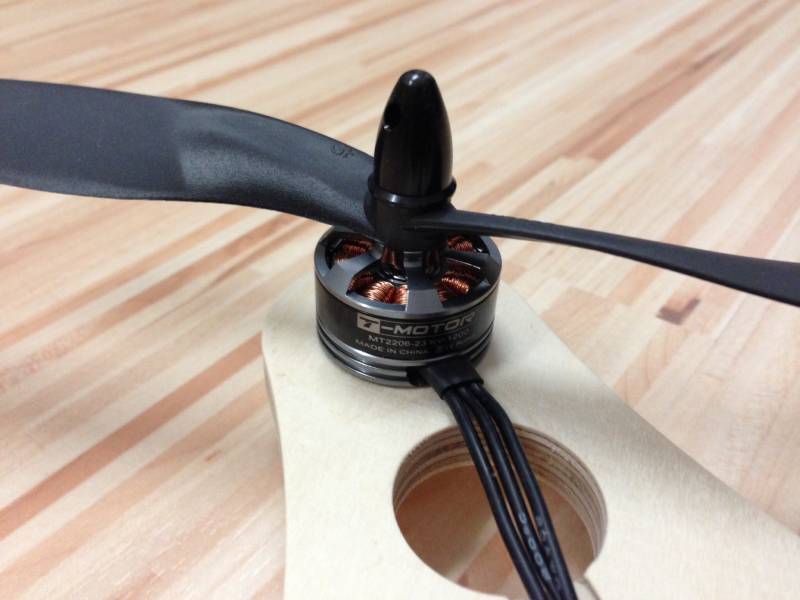 woody_v2_tiger2.jpg woody_v2_tiger2.jpg