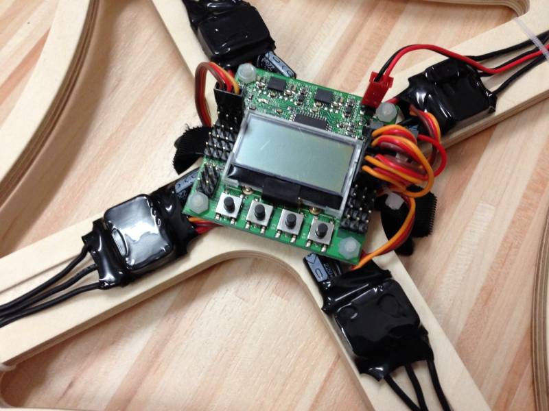 woody_v2_tiger3.jpg woody_v2_tiger3.jpg