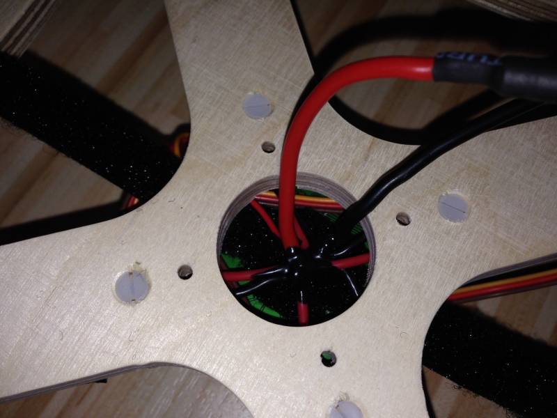 woody_v2_tiger4.jpg woody_v2_tiger4.jpg